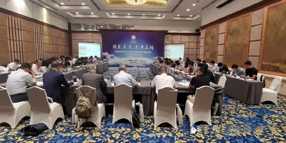 力宇集团应邀参加中国城市燃气协会分布式能源专业委员会 2020年度会员大会